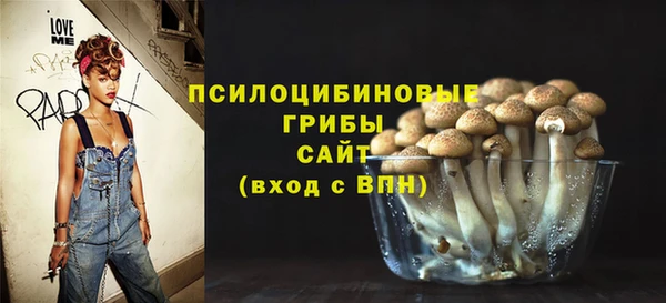 ECSTASY Кукмор