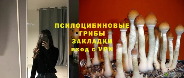 эйфоретик Лабытнанги