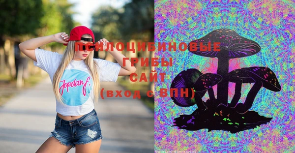 твердый Домодедово