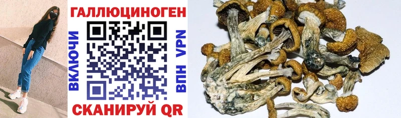 продажа наркотиков  hydra рабочий сайт  Псилоцибиновые грибы Psilocybe  Медвежьегорск 